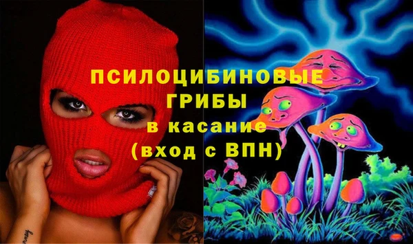 MESCALINE Аркадак