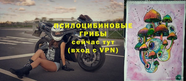 MESCALINE Аркадак