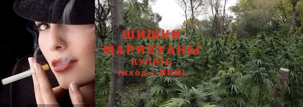 MESCALINE Аркадак