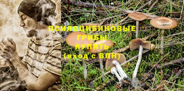 MESCALINE Аркадак