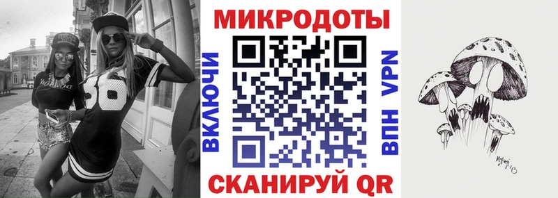 Псилоцибиновые грибы Psilocybine cubensis  Руза 